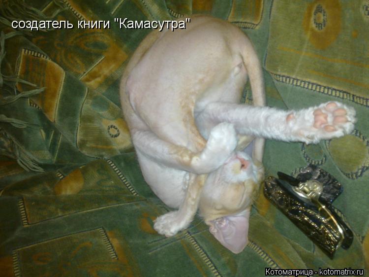 Жить Захочешь И Не Так Раскорячишься