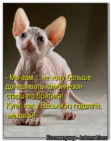 - Ма-аам… не хочу больше донашивать комбинезон старшего братика! Купи, как у Васьки из подвала, мех... Котоматрица: - Ма-аам… не хочу больше донашивать комбинезон старшего братика! Купи, как у Васьки из подвала, меховой!