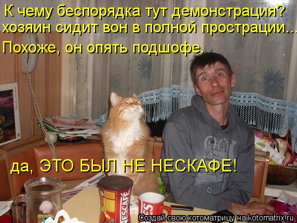 Котоматрица: К чему беспорядка тут демонстрация?   хозяин сидит вон в полной прострации...   Похоже, он опять подшофе.   да, ЭТО БЫЛ НЕ НЕСКАФЕ!