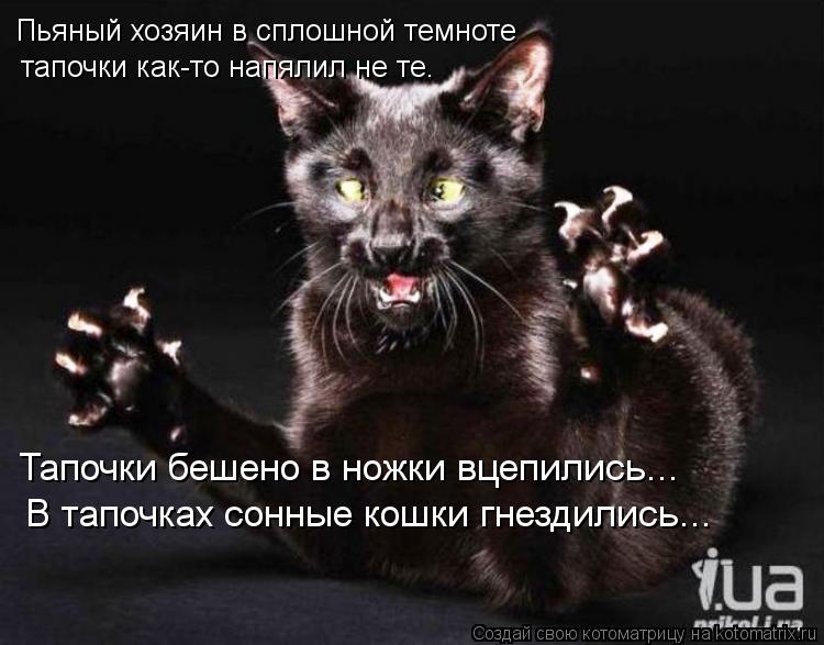 Пьяный хозяин в сплошной темноте тапочки как-то напялил не те. Тапочки бешено в ножки вцепились... В ... Котоматрица: Пьяный хозяин в сплошной темноте тапочки как-то напялил не те. Тапочки бешено в ножки вцепились... В тапочках сонные кошки гнездились...