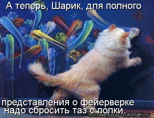 Котоматрица: А теперь, Шарик, для полного надо сбросить таз с полки. представления о фейерверке