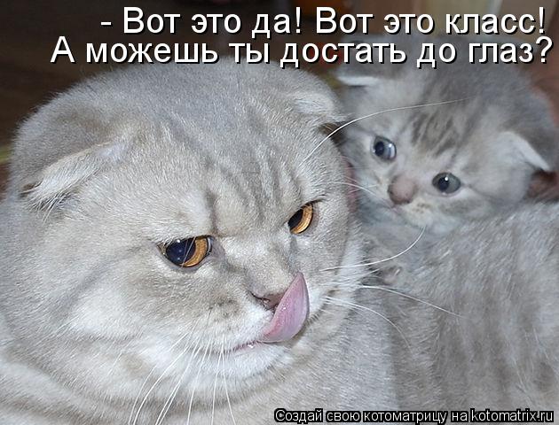 Котоматрица: - Вот это да! Вот это класс! А можешь ты достать до глаз?