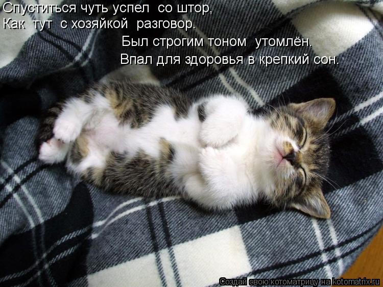 Котоматрица: Спуститься чуть успел  со штор,  Как  тут  с хозяйкой  разговор. Был строгим тоном  утомлён. Впал для здоровья в крепкий сон.