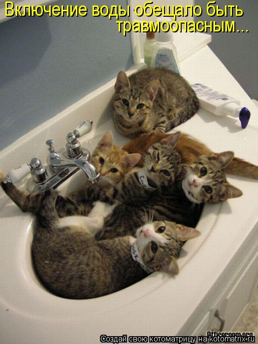 Включение воды обещало быть травмоопасным...... Котоматрица: Включение воды обещало быть травмоопасным...