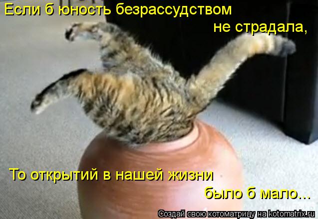 Если б юность безрассудством То открытий в нашей жизни было б мало... не страдала,... Котоматрица: Если б юность безрассудством То открытий в нашей жизни было б мало... не страдала,