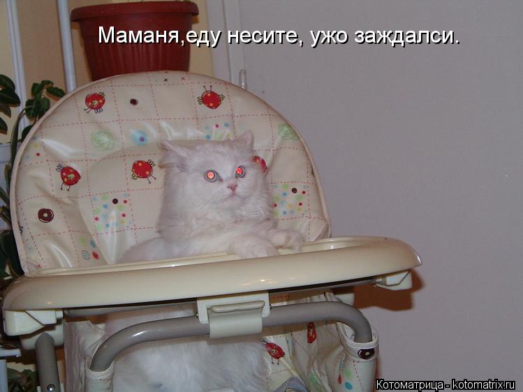 Маманя,еду несите, ужо заждалси.... Котоматрица: Маманя,еду несите, ужо заждалси.