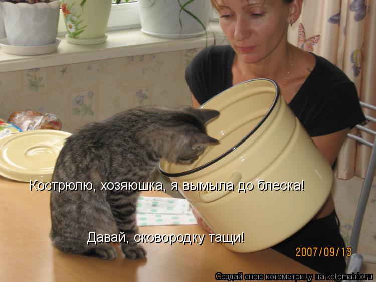 Котоматрица: Кострюлю, хозяюшка, я вымыла до блеска! Давай, сковородку тащи!