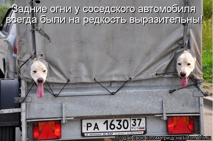 всегда были на редкость выразительны! Задние огни у соседского автомобиля... Котоматрица: всегда были на редкость выразительны! Задние огни у соседского автомобиля