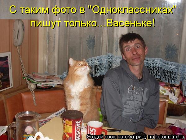Котоматрица: С таким фото в "Одноклассниках" пишут только...Васеньке!