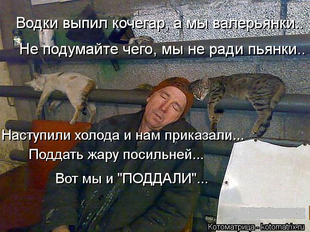 Водки выпил кочегар, а мы валерьянки.. Не подумайте чего, мы не ради пьянки.. Наступили холода и нам ... Котоматрица: Водки выпил кочегар, а мы валерьянки.. Не подумайте чего, мы не ради пьянки.. Наступили холода и нам приказали... Поддать жару посильней... Вот