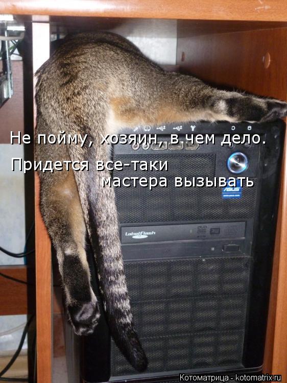 Котоматрица: Не пойму, хозяин, в чем дело.  Придется все-таки  мастера вызывать