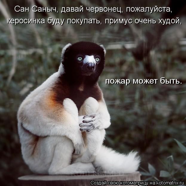 Сан Саныч, давай червонец, пожалуйста, керосинка буду покупать, примус очень худой, пожар может быт... Котоматрица: Сан Саныч, давай червонец, пожалуйста, керосинка буду покупать, примус очень худой, пожар может быть.