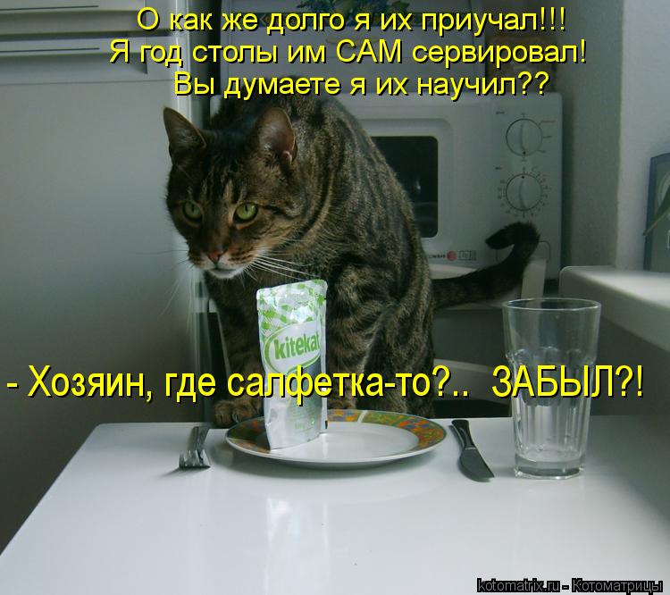Котоматрица: О как же долго я их приучал!!! Я год столы им САМ сервировал! Вы думаете я их научил?? - Хозяин, где салфетка-то?..  ЗАБЫЛ?!