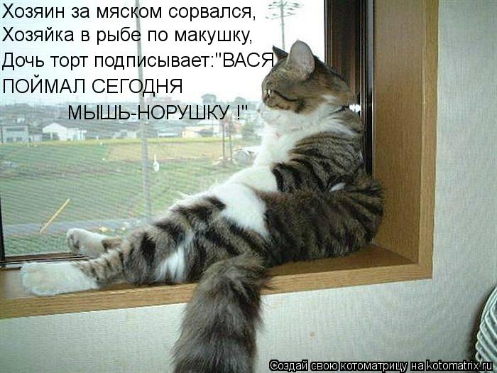 Котоматрица: Хозяин за мяском сорвался, Дочь торт подписывает:"ВАСЯ Хозяйка в рыбе по макушку, ПОЙМАЛ СЕГОДНЯ МЫШЬ-НОРУШКУ !"
