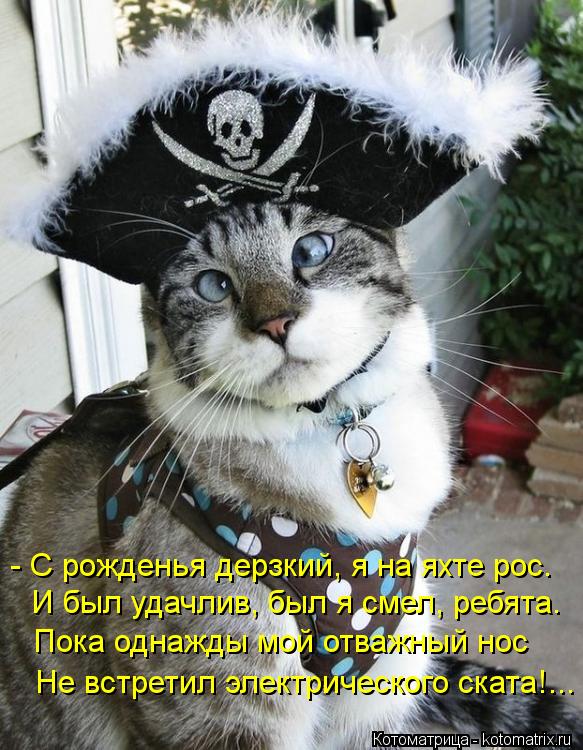 Котоматрица: - С рожденья дерзкий, я на яхте рос. И был удачлив, был я смел, ребята. Пока однажды мой отважный нос Не встретил электрического ската!...