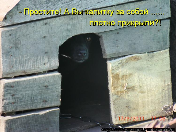 - Простите! А Вы калитку за собой ...... плотно прикрыли?!... Котоматрица: - Простите! А Вы калитку за собой ...... плотно прикрыли?!