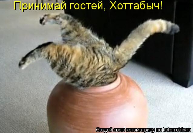 Котоматрица: Принимай гостей, Хоттабыч!