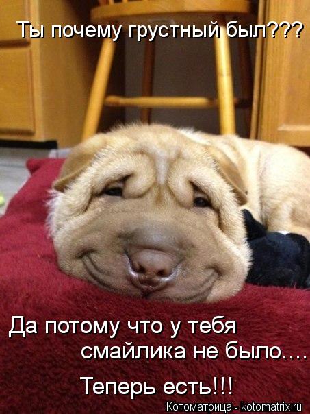 Ты почему грустный был??? Да потому что у тебя смайлика не было.... Теперь есть!!!... Котоматрица: Ты почему грустный был??? Да потому что у тебя смайлика не было.... Теперь есть!!!