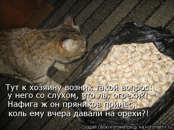 Котоматрица: Тут к хозяину возник такой вопрос: у него со слухом, что ль, огрехи?! Нафига ж он пряников принёс, коль ему вчера давали на орехи?!