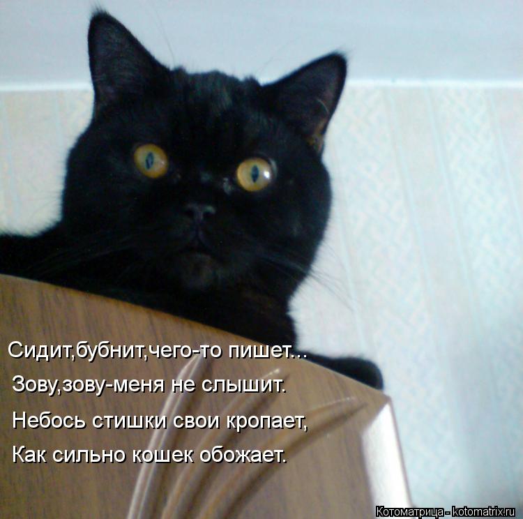 Сидит,бубнит,чего-то пишет... Зову,зову-меня не слышит. Небось стишки свои кропает, Как сильно кошек ... Котоматрица: Сидит,бубнит,чего-то пишет... Зову,зову-меня не слышит. Небось стишки свои кропает, Как сильно кошек обожает.