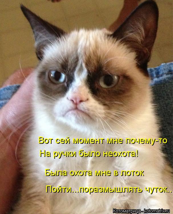 Вот сей момент мне почему-то Была охота мне в лоток Пойти...поразмышлять чуток... На ручки было неохо... Котоматрица: Вот сей момент мне почему-то Была охота мне в лоток Пойти...поразмышлять чуток... На ручки было неохота!
