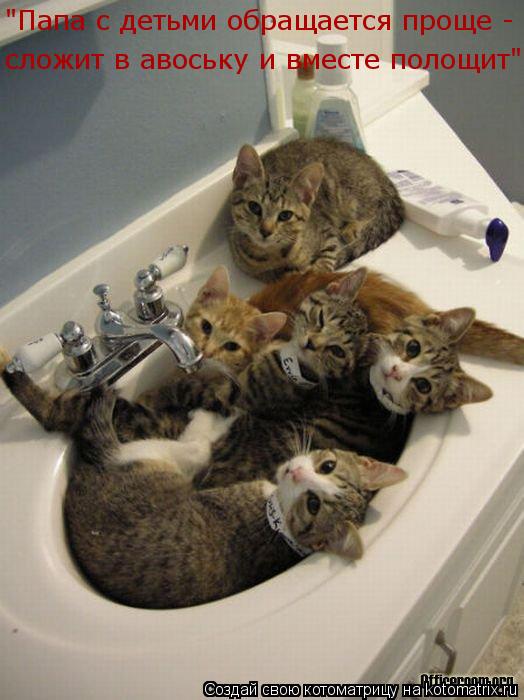 "Папа с детьми обращается проще - сложит в авоську и вместе полощит"... Котоматрица: "Папа с детьми обращается проще - сложит в авоську и вместе полощит"