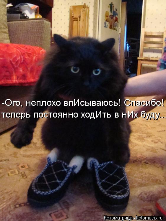 -Ого, неплохо впИсываюсь! Спасибо! теперь постоянно ходИть в нИх буду...... Котоматрица: -Ого, неплохо впИсываюсь! Спасибо! теперь постоянно ходИть в нИх буду...