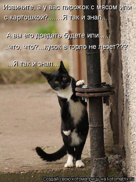 Котоматрица: Извините, а у вас пирожок с мясом или с картошкой?.......Я так и знал.... А вы его доедать будете или...... ..что, что?...кусок в горло не лезет??? ...Я так 