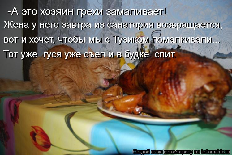 Котоматрица: -А это хозяин грехи замаливает! Жена у него завтра из санатория возвращается, вот и хочет, чтобы мы с Тузиком помалкивали... Тот уже  гуся уже 
