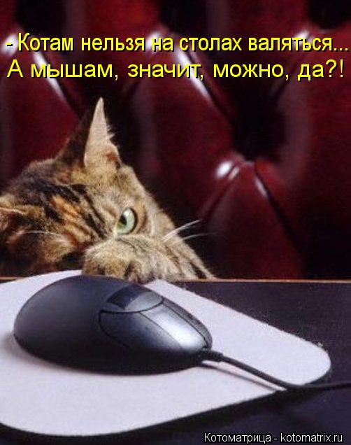 Котоматрица: - Котам нельзя на столах валяться... А мышам, значит, можно, да?!