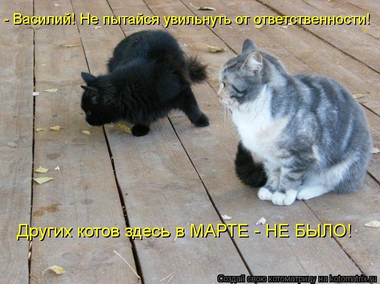 Котоматрица: - Василий! Не пытайся увильнуть от ответственности! Других котов здесь в МАРТЕ - НЕ БЫЛО!