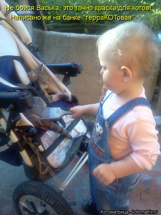 Котоматрица: Не бойся Васька, это точно краска для котов! Написано же на банке "терраКОТовая".