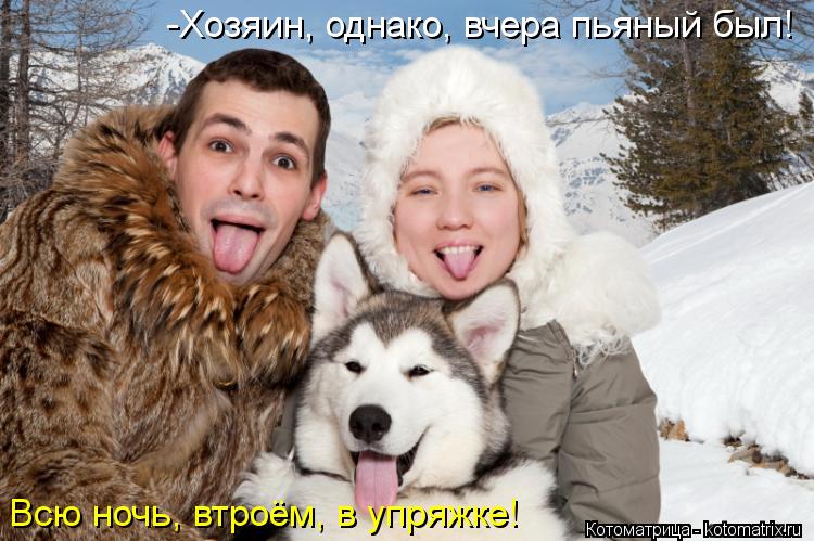 Котоматрица: -Хозяин, однако, вчера пьяный был! Всю ночь, втроём, в упряжке!