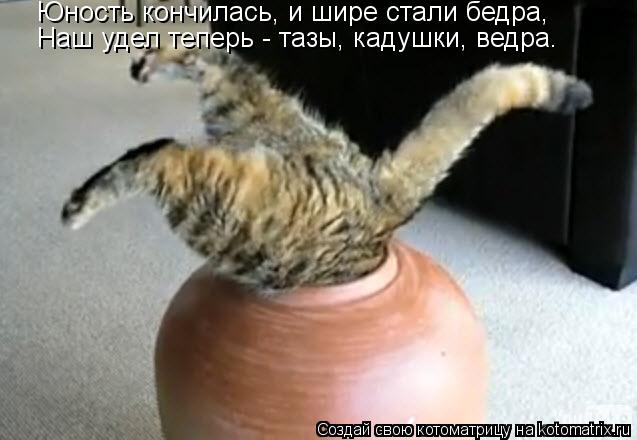 Котоматрица: Наш удел теперь - тазы, кадушки, ведра. Юность кончилась, и шире стали бедра,