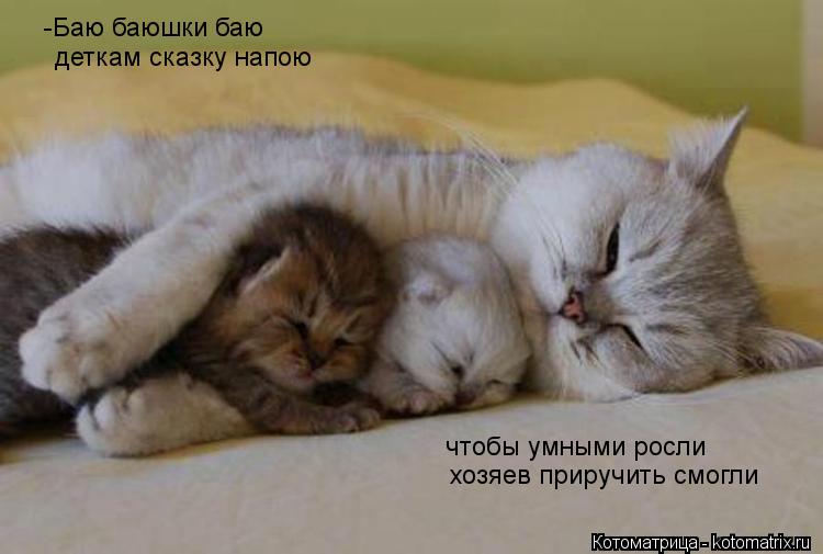 Позитивчик (фото, видео, рассказы для хорошего настроения)