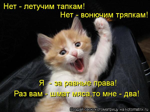 Нет - летучим тапкам! Нет - вонючим тряпкам! Я - за равные права! Раз вам - шмат мяса,то мне - два!... Котоматрица: Нет - летучим тапкам! Нет - вонючим тряпкам! Я - за равные права! Раз вам - шмат мяса,то мне - два!
