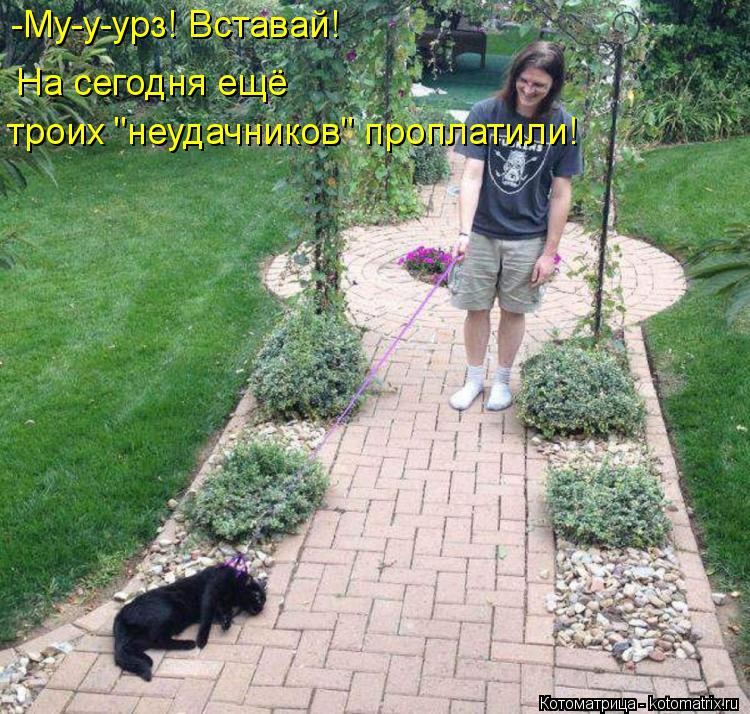 Котоматрица: -Му-у-урз! Вставай! На сегодня ещё троих "неудачников" проплатили!