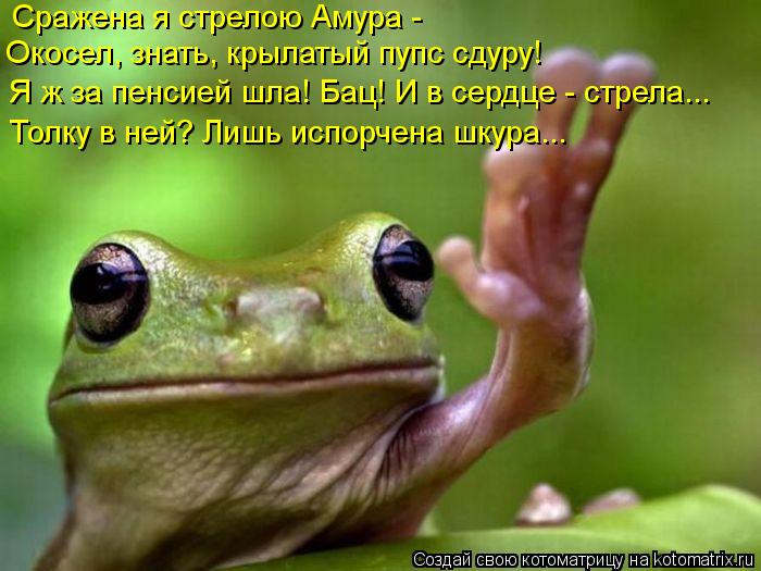 Котоматрица: Окосел, знать, крылатый пупс сдуру!  Сражена я стрелою Амура - Я ж за пенсией шла! Бац! И в сердце - стрела... Толку в ней? Лишь испорчена шкура...