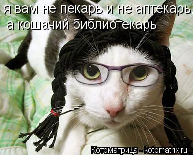 Котоматрица: я вам не пекарь и не аптекарь, а кошачий библиотекарь