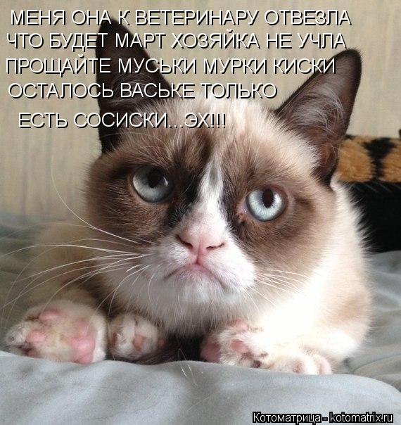 Котоматрица: МЕНЯ ОНА К ВЕТЕРИНАРУ ОТВЕЗЛА ЧТО БУДЕТ МАРТ ХОЗЯЙКА НЕ УЧЛА ПРОЩАЙТЕ МУСЬКИ МУРКИ КИСКИ ОСТАЛОСЬ ВАСЬКЕ ТОЛЬКО  ЕСТЬ СОСИСКИ...ЭХ!!!
