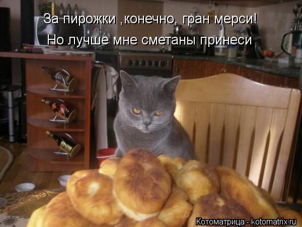 За пирожки ,конечно, гран мерси! Но лучше мне сметаны принеси... Котоматрица: За пирожки ,конечно, гран мерси! Но лучше мне сметаны принеси