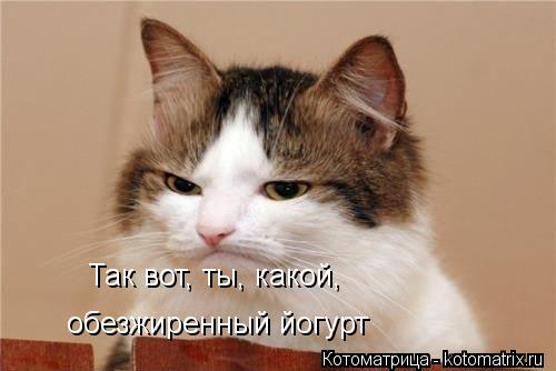 Котоматрица: Так вот, ты, какой, обезжиренный йогурт