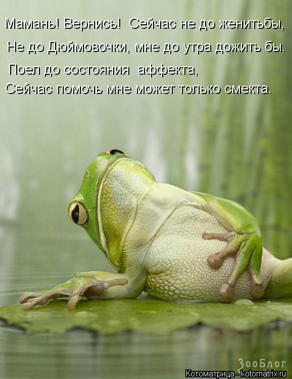 Мамань! Вернись! Сейчас не до женитьбы, Не до Дюймовочки, мне до утра дожить бы. Сейчас помочь мне м... Котоматрица: Мамань! Вернись! Сейчас не до женитьбы, Не до Дюймовочки, мне до утра дожить бы. Сейчас помочь мне может только смекта. Поел до состояния афф