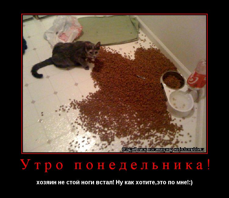 Котоматрица: Утро понедельника! хозяин не стой ноги встал! Ну как хотите,это по мне!:)