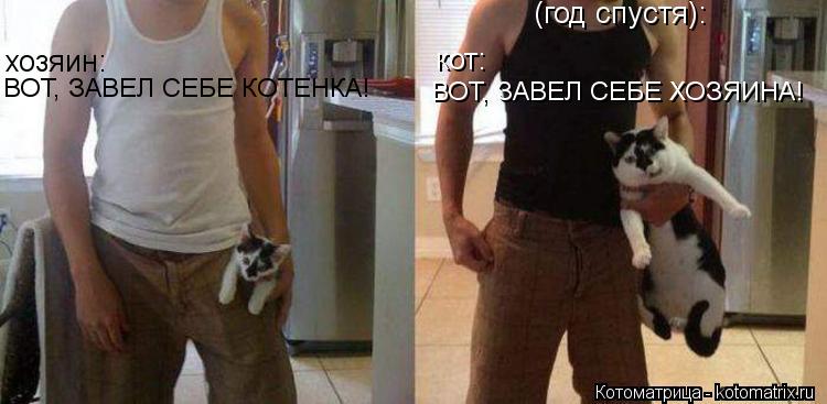 (год спустя): ВОТ, ЗАВЕЛ СЕБЕ ХОЗЯИНА! кот: хозяин: ВОТ, ЗАВЕЛ СЕБЕ КОТЕНКА!... Котоматрица: (год спустя): ВОТ, ЗАВЕЛ СЕБЕ ХОЗЯИНА! кот: хозяин: ВОТ, ЗАВЕЛ СЕБЕ КОТЕНКА!