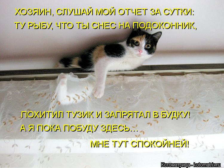 Котоматрица: ХОЗЯИН, СЛУШАЙ МОЙ ОТЧЕТ ЗА СУТКИ: ТУ РЫБУ, ЧТО ТЫ СНЕС НА ПОДОКОННИК, ПОХИТИЛ ТУЗИК И ЗАПРЯТАЛ В БУДКУ! А Я ПОКА ПОБУДУ ЗДЕСЬ… МНЕ ТУТ СПОКОЙ