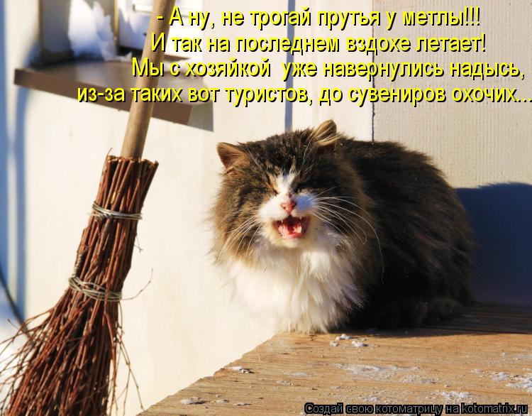 Котоматрица: - А ну, не трогай прутья у метлы!!! И так на последнем вздохе летает!  Мы с хозяйкой  уже навернулись надысь,  из-за таких вот туристов, до сувени