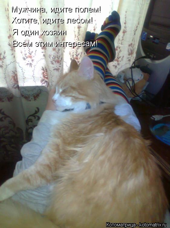 Котоматрица: Мужчина, идите полем! Хотите, идите лесом! Я один хозяин Всем этим интересам!