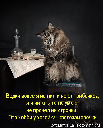 я и читать-то не умею - не прочел ни строчки. Водки вовсе я не пил и не ел грибочков, Это хобби у хо... Котоматрица: я и читать-то не умею - не прочел ни строчки. Водки вовсе я не пил и не ел грибочков, Это хобби у хозяйки - фотозаморочки.