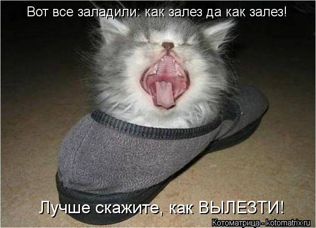 Вот все заладили: как залез да как залез! Лучше скажите, как ВЫЛЕЗТИ!... Котоматрица: Вот все заладили: как залез да как залез! Лучше скажите, как ВЫЛЕЗТИ!